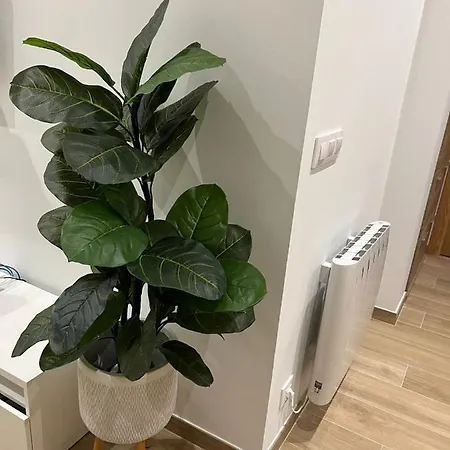 Hébergement de vacances Casa Tres Portinas Cangas